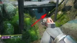 Golden Chest Locations Destiny 2 EDZ Winding Cove