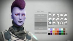 Hair Customization Destiny 2 Guardian Character