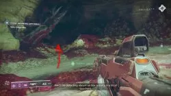 destiny 2 ancient's haunt nessus