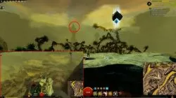 gw2 pale canyon griffon egg