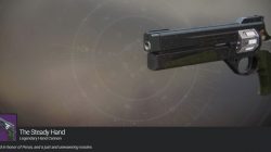 Steady Hand Exotic Hand Cannon