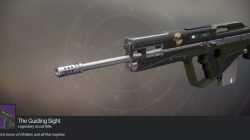The Guiding Sight Exotic Scout Rifle