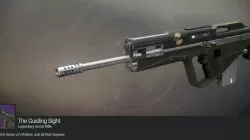 The Guiding Sight Exotic Scout Rifle