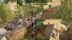 ac origins taste of her sting investigation clues hints