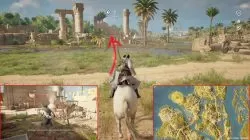 ac origins thick skin starting location