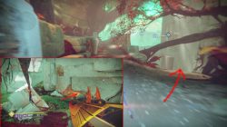 cayde treasure chest nessus tangle