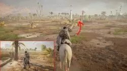 nature's way riddle ac origins