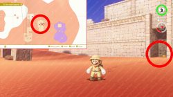 where to find ruins seed sand kingdom mario odyssey