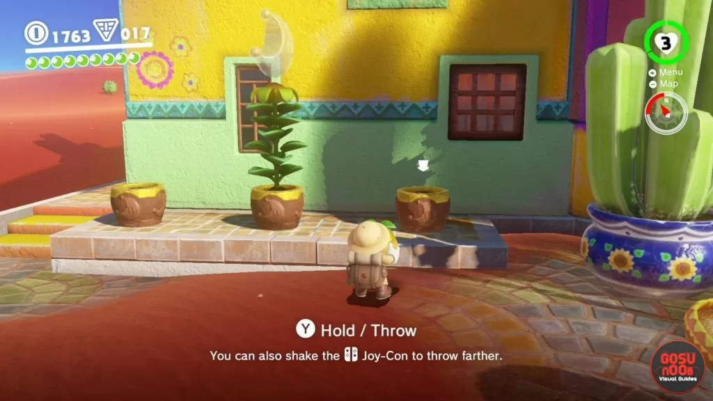 where to plant sand kingdom seeds mario odyssey