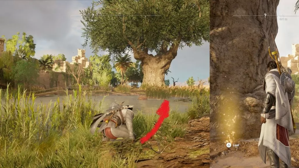 AC Origins Royal Flora Papyrus Puzzle Solution Guide