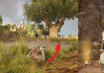 AC Origins Royal Flora Papyrus Puzzle Solution Guide