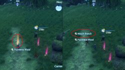 Muscle Branch location farming xenoblade chronicles 2