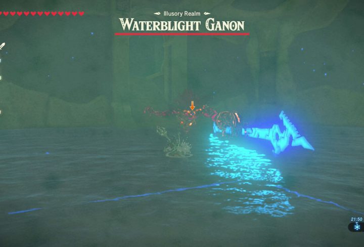 Waterblight Ganon in the Illusory Realm Zelda BOTW