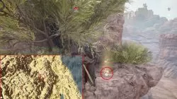 ac origins stealthy shrub papyrus riddle solution