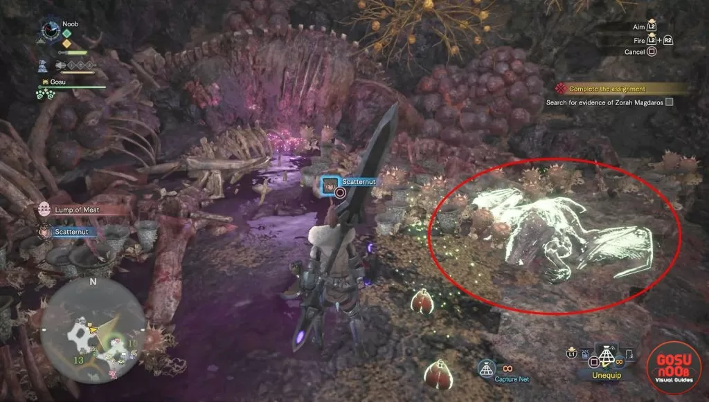 mhw where to find lump of meat