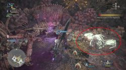 mhw where to find lump of meat