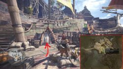 monster hunter world how to change appearance