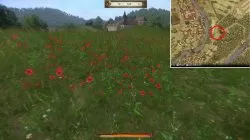 Restless Spirit Poppy Field Kingdom Come Deliverance