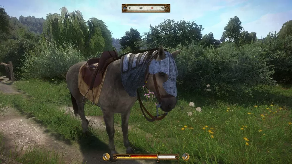 horse head gear