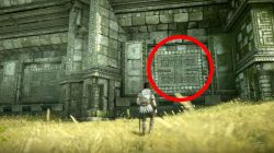 how to get sword of dormin shadow of the colossus