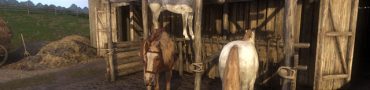 kingdom come deliverance best horse where to buy mounts
