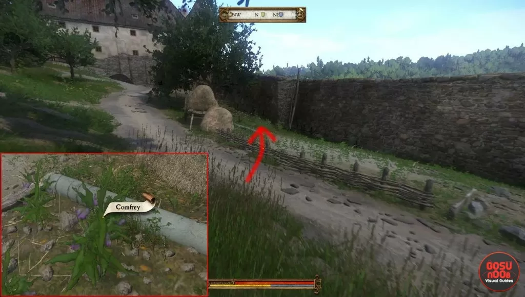 kingdom come deliverance in god's hands comfrey location