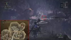 mhw coral orchestra palico gadget location