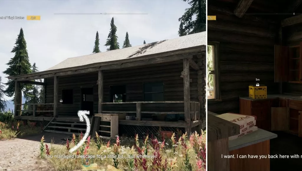 Red Tail Cabin Vinyl Crate Location Far Cry 5