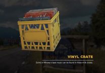 Vinyl Crate Far Cry 5