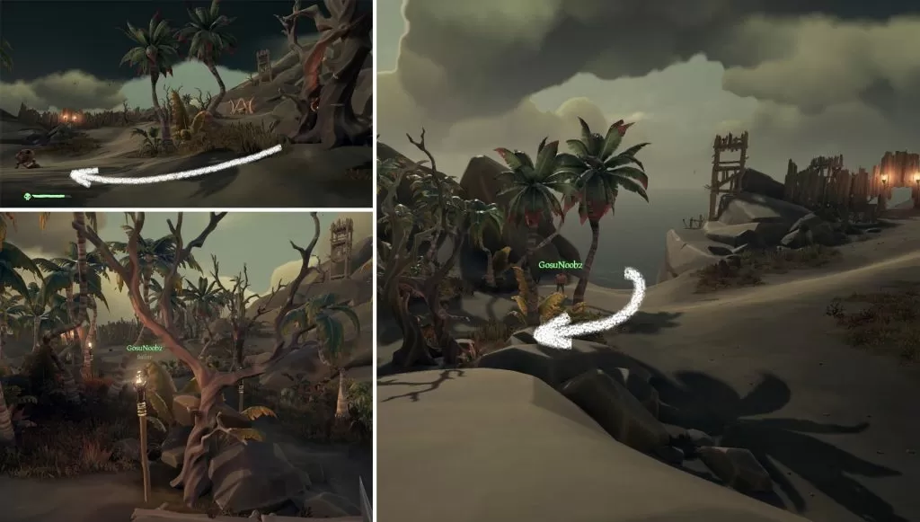 Where to find Entwined Trees Sea of Thieves