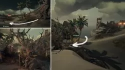 Where to find Entwined Trees Sea of Thieves