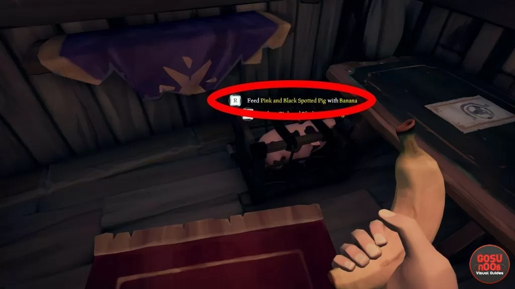 how to feed pigs in sea of thieves