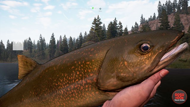 how to fish in far cry 5