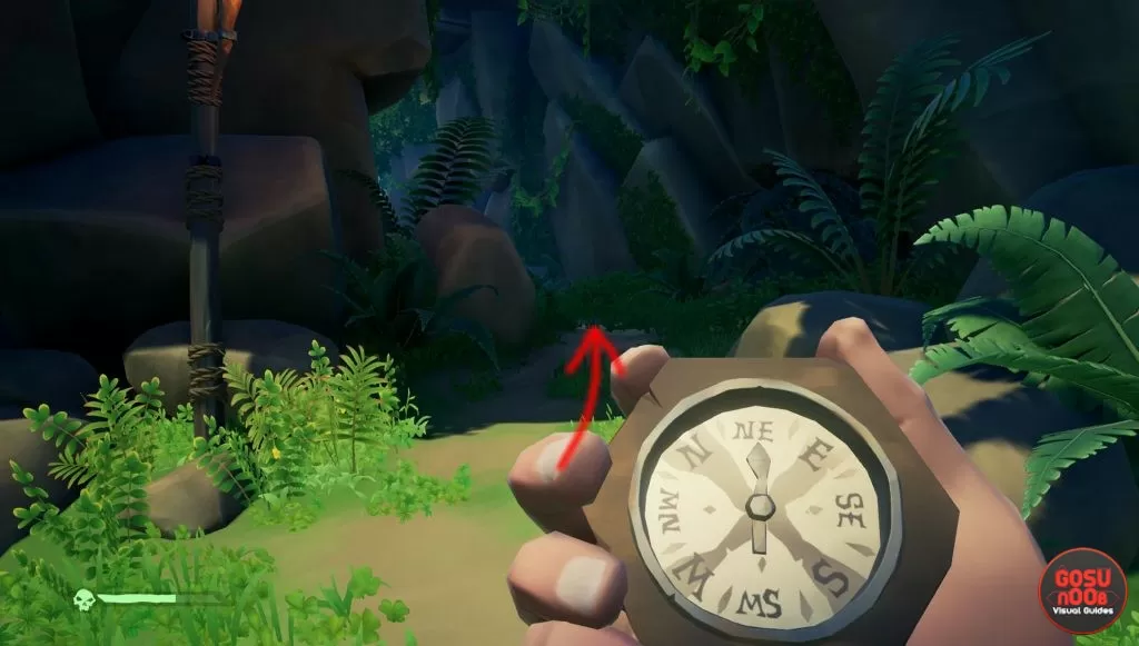 sea of thieves haven puzzle red eyed parrot