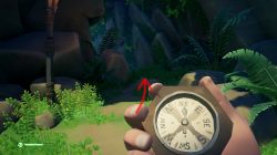 sea of thieves haven puzzle red eyed parrot