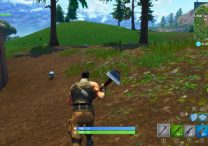 fortnite br foraged items locations where to find apples mushrooms