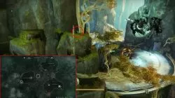 destiny 2 mysterious cat locations