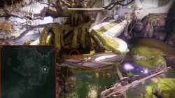 destiny 2 warded by wormhost giant tree