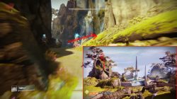 destiny 2 where to find cats