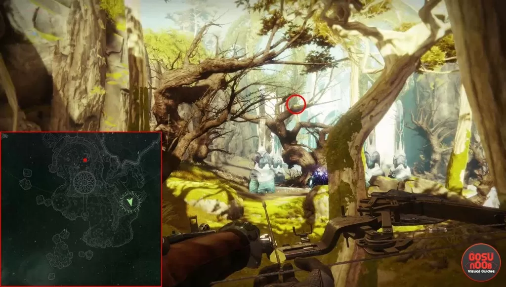 destiny 2 wormhost location dried tree