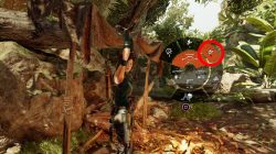 how to craft poison lure arrows shadow of the tomb raider
