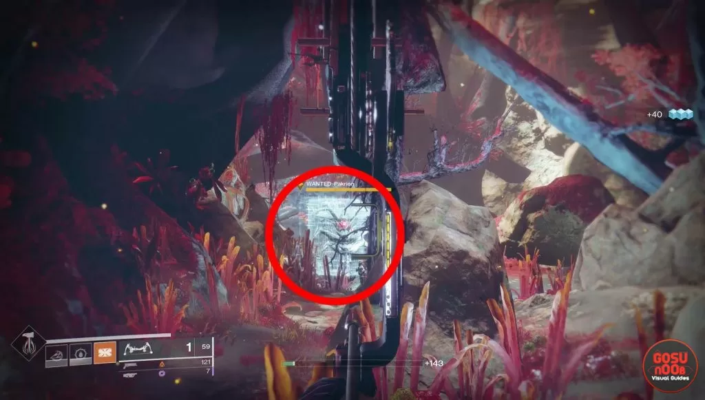 location of pakrion wanted bounty destiny 2 forsaken