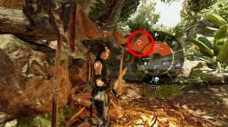 shadow of tomb raider fear arrows how to craft