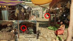 shadow of tomb raider where to find all llama locations