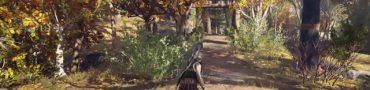 AC Odyssey Asking Too Many Questions & Stupid Thieves Quests