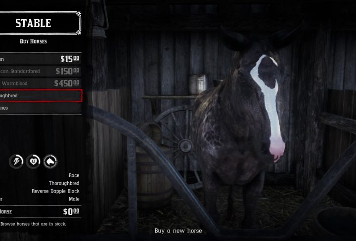 Red Dead Redemption 2 Dapple Black Thoroughbred Preorder Bonus Location