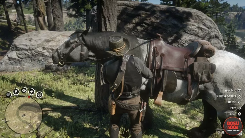 Red Dead Redemption 2 Horse is Dirty - How to Clean Horse