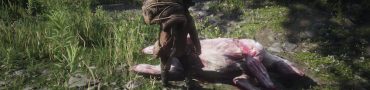 Red Dead Redemption 2 How to Sell Pelts