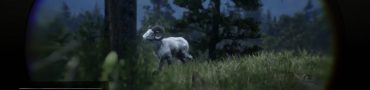 Red Dead Redemption 2 Legendary Big Horn Ram Animal Location Clue Solutions