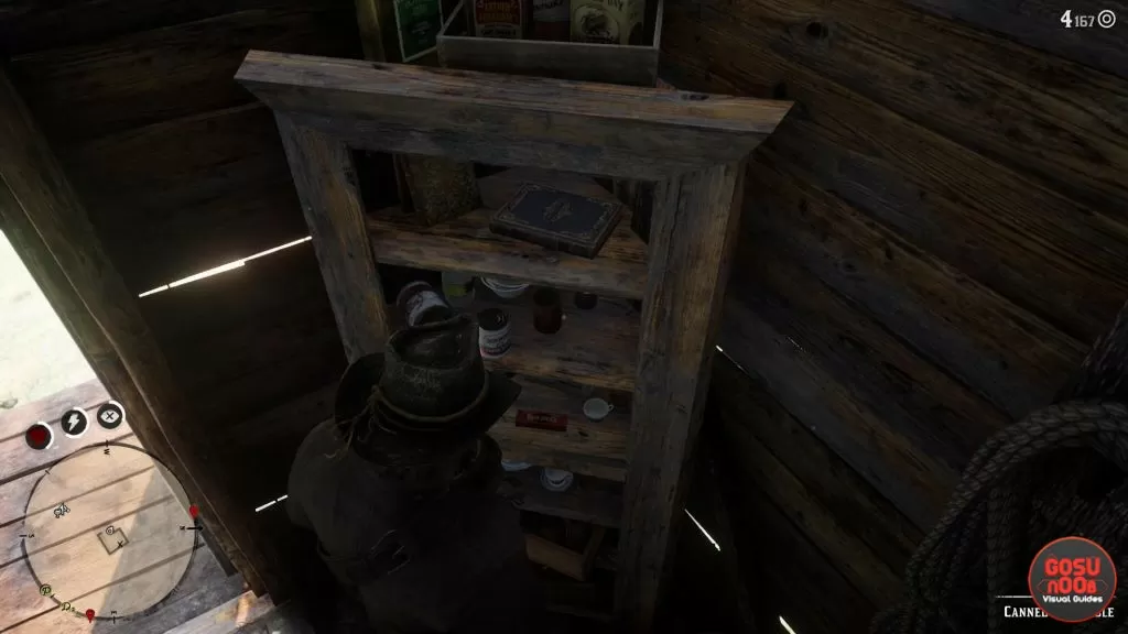 Red Dead Redemption 2 Sadie Harmonica Location